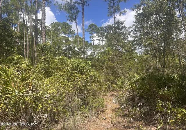 Photo 5 of Land for sale at 242 Lakeway Dr, Georgetown, FL 32139 | MLS# 2158200 | Listing updated on 2026-08-01