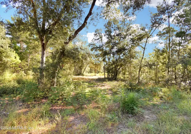 2nd image of 7455 Rye Ct, Keystone Heights, FL 32656 | MLS# 2158234