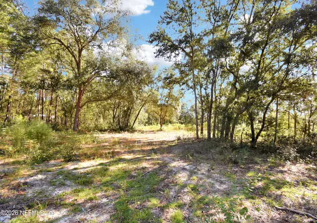 Photo 3 of Land for sale at 7455 Rye Ct, Keystone Heights, FL 32656 | MLS# 2158234 | Listing updated on 2026-10-06