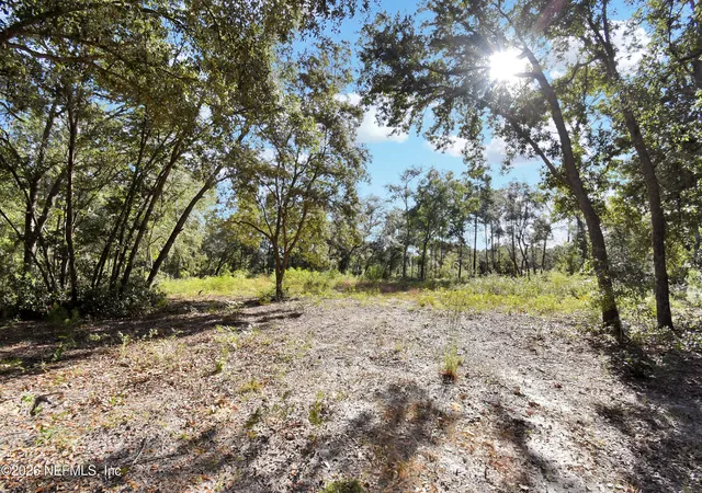 Photo 3 of Land for sale at 7455 Rye Ct, Keystone Heights, FL 32656 | MLS# 2158234 | Listing updated on 2026-10-06