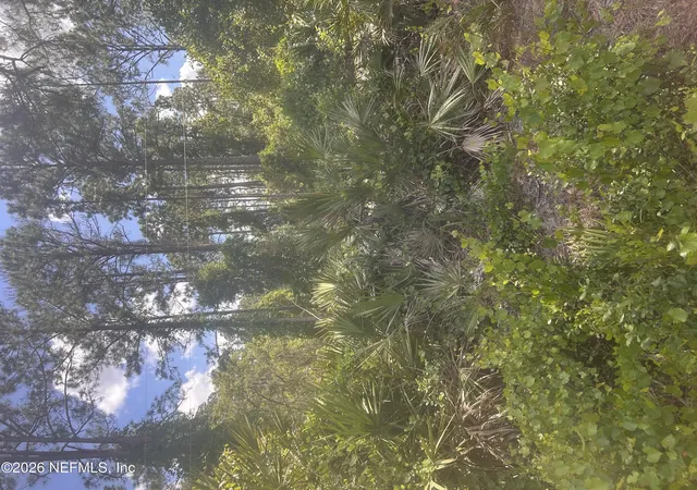 Photo 1 of Land for sale at 128 Forest St, Georgetown, FL 32139 | MLS# 2158240 | Listing updated on 2026-08-02