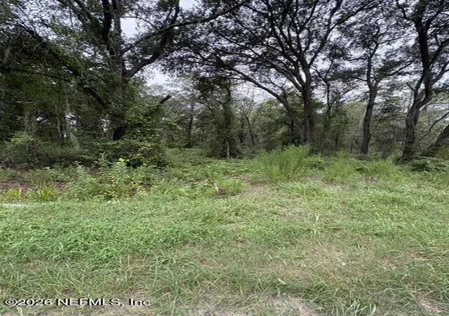 Photo 3 of Land for sale at 10335 Hennessey Ave, Hastings, FL 32145 | MLS# 2158684 | Listing updated on 2026-09-03