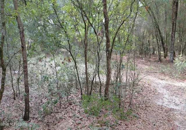 Photo 1 of Land for sale at 157 Oak Cir, Interlachen, FL 32148 | MLS# 2158616 | Listing updated on 2026-08-05
