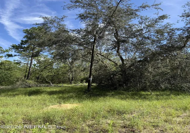 Photo 3 of Land for sale at 116 Lima St, Interlachen, FL 32148 | MLS# 2158941 | Listing updated on 2026-08-06