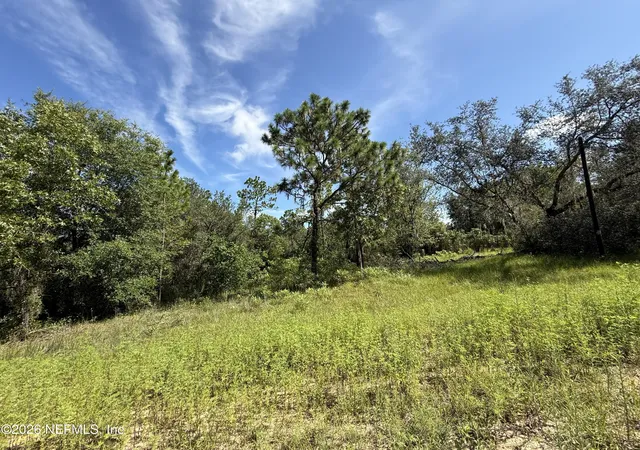 Photo 4 of Land for sale at 116 Lima St, Interlachen, FL 32148 | MLS# 2158941 | Listing updated on 2026-08-06
