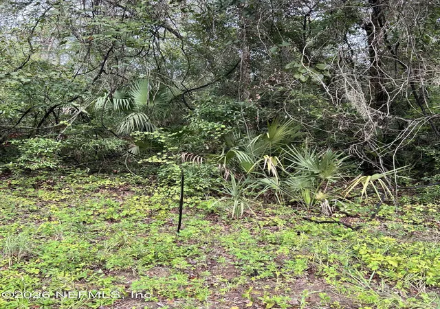 Photo 1 of Land for sale at 0 Annette Ave, Interlachen, FL 32148 | MLS# 2159257 | Listing updated on 2026-08-08