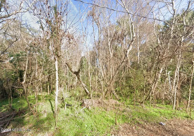 3rd image of 0 N North Shore, Jacksonville, FL 32208 | MLS# 2159264