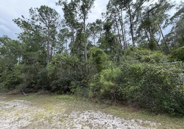 Photo 1 of Land for sale at 207 Tequesta Trl, Georgetown, FL 32139 | MLS# 2159557 | Listing updated on 2026-08-11