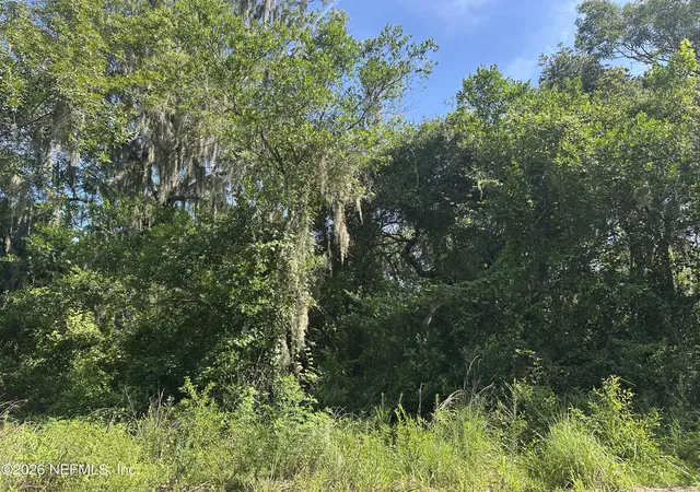 Photo 2 of Land for sale at 232 Lakeview Dr, Satsuma, FL 32189 | MLS# 2159825 | Listing updated on 2026-08-21