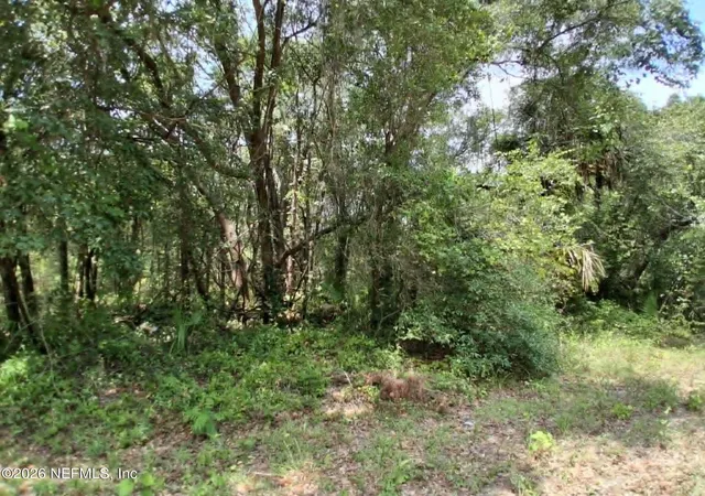 Photo 1 of Land for sale at 929 Annette Ave, Interlachen, FL 32148 | MLS# 2159947 | Listing updated on 2026-08-13