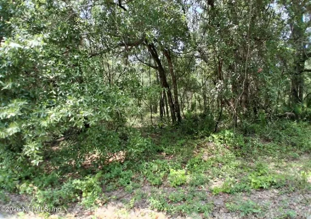 Photo 3 of Land for sale at 929 Annette Ave, Interlachen, FL 32148 | MLS# 2159947 | Listing updated on 2026-08-13