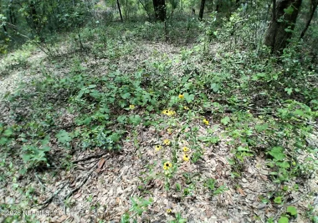 Photo 4 of Land for sale at 929 Annette Ave, Interlachen, FL 32148 | MLS# 2159947 | Listing updated on 2026-08-13