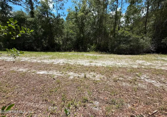 Photo 1 of Land for sale at 102 Willow Ln, Georgetown, FL 32139 | MLS# 2160319 | Listing updated on 2026-08-15