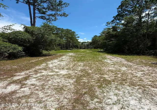 Photo 2 of Land for sale at 102 Willow Ln, Georgetown, FL 32139 | MLS# 2160319 | Listing updated on 2026-08-15