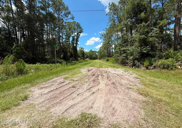 Photo 3 of Land for sale at 102 Willow Ln, Georgetown, FL 32139 | MLS# 2160319 | Listing updated on 2026-08-15