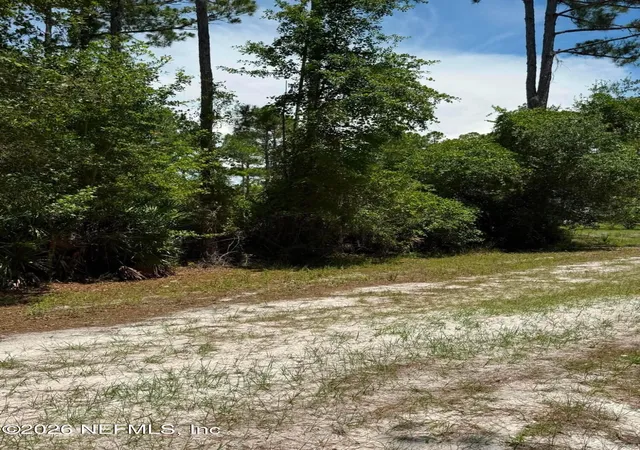 Photo 4 of Land for sale at 102 Willow Ln, Georgetown, FL 32139 | MLS# 2160319 | Listing updated on 2026-08-15
