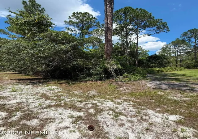 Photo 5 of Land for sale at 102 Willow Ln, Georgetown, FL 32139 | MLS# 2160319 | Listing updated on 2026-08-15