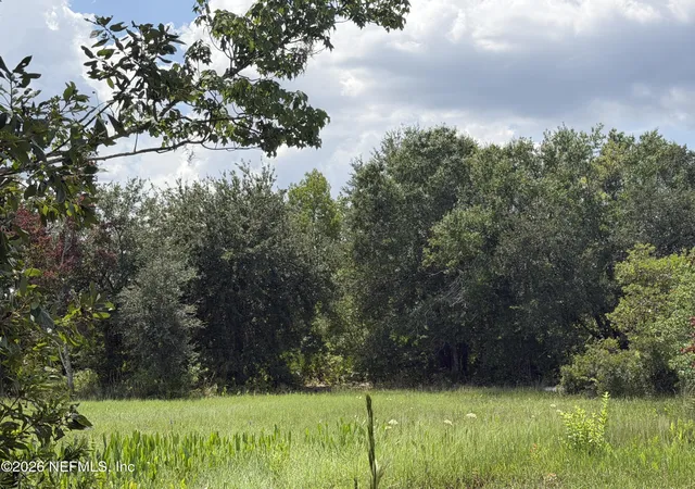 Photo 3 of Land for sale at Tbd Dayflower Blvd, Zephyrhills, FL 33544 | MLS# 2160745 | Listing updated on 2026-08-23