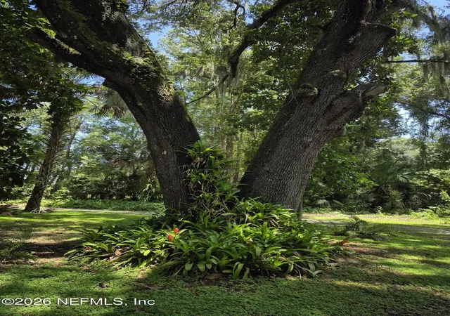 14th image of 737 Junction Rd, Crescent City, FL 32112 | MLS# 2160505
