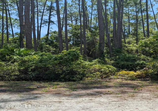 Photo 1 of Land for sale at 121 Se 1st Street, Georgetown, FL 32139 | MLS# 2160513 | Listing updated on 2026-08-17