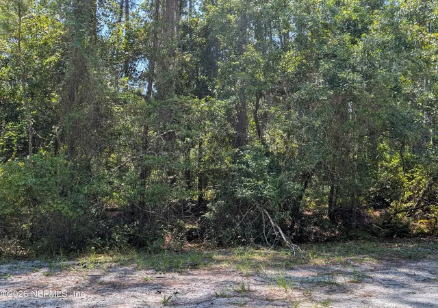 Photo 4 of Land for sale at 121 SE 1st Street, Georgetown, FL 32139 | MLS# 2160513 | Listing updated on 2026-08-17
