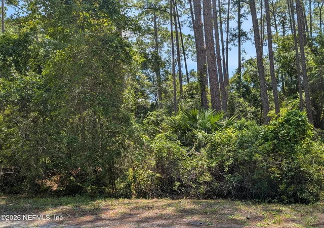 Photo 5 of Land for sale at 121 SE 1st Street, Georgetown, FL 32139 | MLS# 2160513 | Listing updated on 2026-08-17