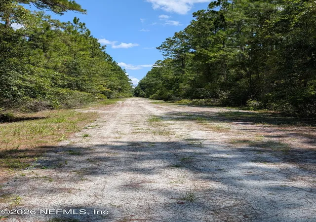 Photo 6 of Land for sale at 121 Se 1st Street, Georgetown, FL 32139 | MLS# 2160513 | Listing updated on 2026-08-17