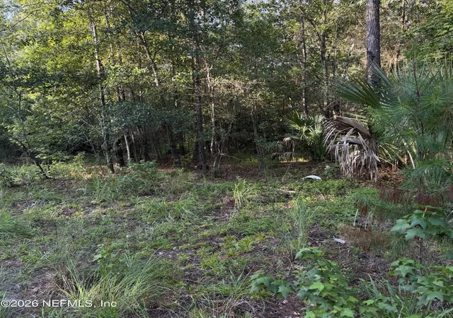 2nd image of 20517 Se 12th Ave, Hawthorne, FL 32640 | MLS# 2160727