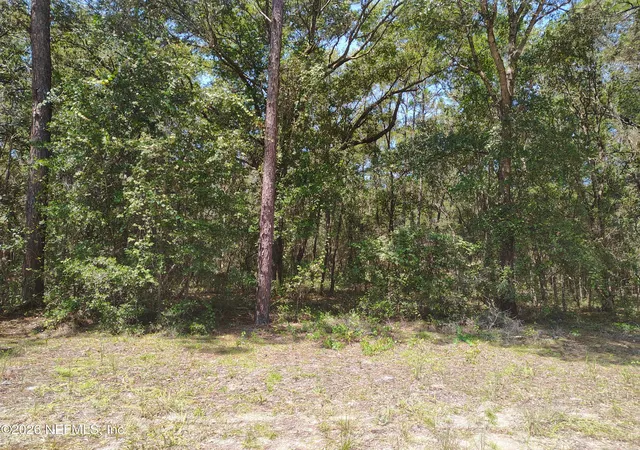 Photo 3 of Land for sale at 00 Sumac St, Interlachen, FL 32148 | MLS# 2160813 | Listing updated on 2026-08-19