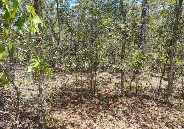 Photo 1 of Land for sale at Tbd Sumac St, Interlachen, FL 32148 | MLS# 2160834 | Listing updated on 2026-08-19