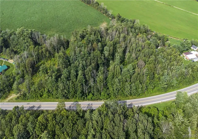 Photo 3 of Land for sale at 4883 Route 39, Gainesville, NY 14066 | MLS# B1707313 | Listing updated on 2026-08-15