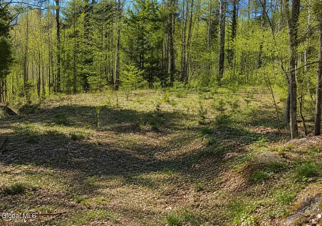 Land for sale at 18 Highview Ln #1, North Creek, NY 12853 | MLS# 202513036