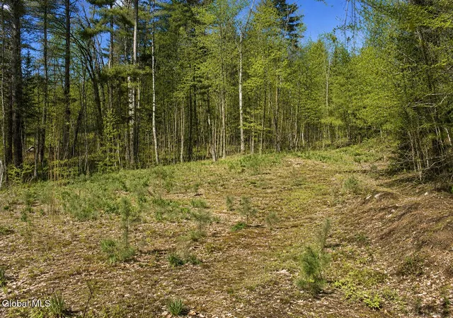 Photo 2 of Land for sale at 18 Highview Ln #1, North Creek, NY 12853 | MLS# 202513036 | Listing updated on 2026-09-01