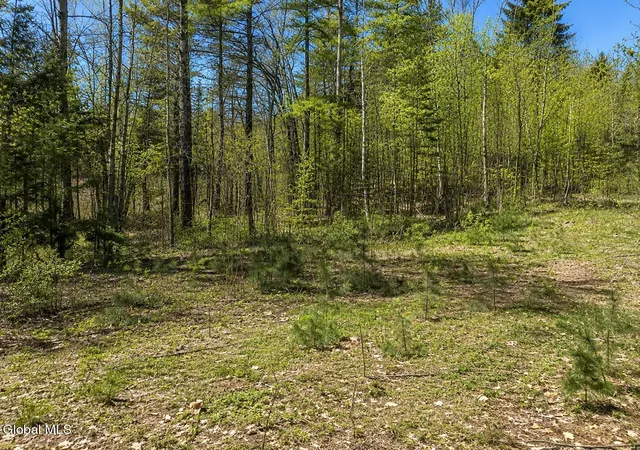 Photo 3 of Land for sale at 18 Highview Ln #1, North Creek, NY 12853 | MLS# 202513036 | Listing updated on 2026-09-01