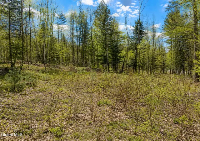 Photo 3 of Land for sale at 18 Highview Ln #1, North Creek, NY 12853 | MLS# 202513036 | Listing updated on 2026-09-01