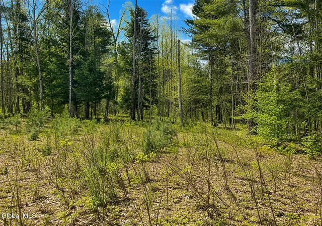 Photo 4 of Land for sale at 18 Highview Ln #1, North Creek, NY 12853 | MLS# 202513036 | Listing updated on 2026-09-01