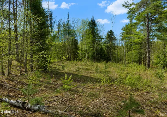 1st image of L86 Highview Ln #Lot 2, Johnsburg, NY 12886 | MLS# 202513037