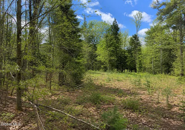 2nd image of L86 Highview Ln #Lot 2, Johnsburg, NY 12886 | MLS# 202513037