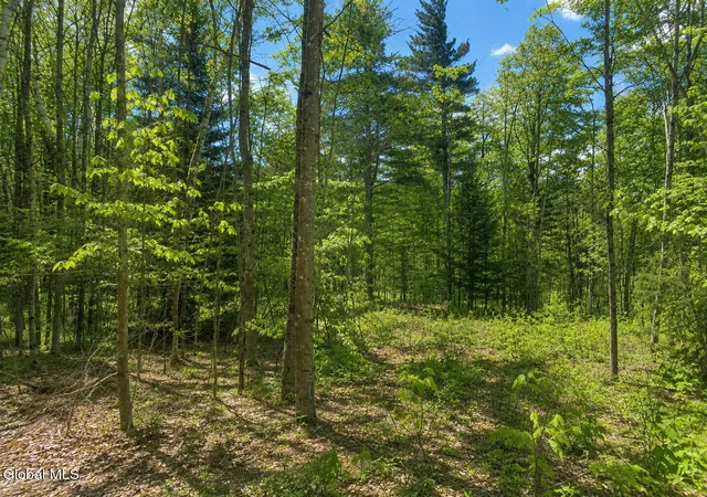 Photo 3 of Land for sale at L86 Highview Ln #2, Johnsburg, NY 12886 | MLS# 202513037 | Listing updated on 2026-09-01