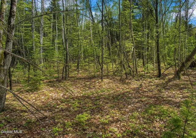 Photo 3 of Land for sale at L86 Highview Ln #2, Johnsburg, NY 12886 | MLS# 202513037 | Listing updated on 2026-09-01