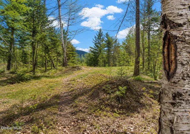 1st image of L87 Highview Ln #Lot 3, Johnsburg, NY 12886 | MLS# 202513038