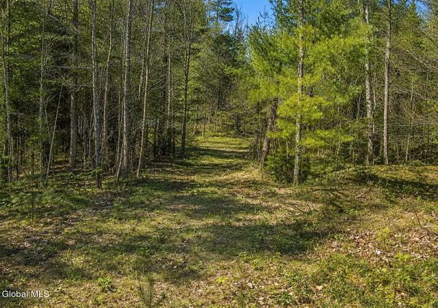Photo 4 of Land for sale at L87 Highview Ln #Lot 3, Johnsburg, NY 12886 | MLS# 202513038 | Listing updated on 2026-07-29