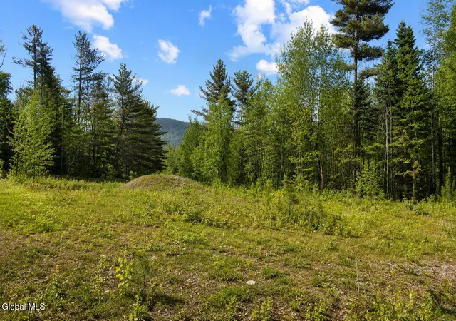 1st image of L88 Highview Ln #Lot 4, Johnsburg, NY 12886 | MLS# 202513039