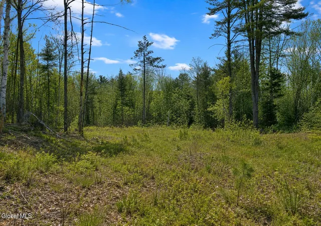 2nd image of L88 Highview Ln #Lot 4, Johnsburg, NY 12886 | MLS# 202513039