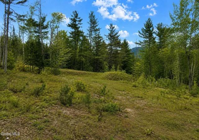 Photo 3 of Land for sale at L88 Highview Ln #4, Johnsburg, NY 12886 | MLS# 202513039 | Listing updated on 2026-08-24