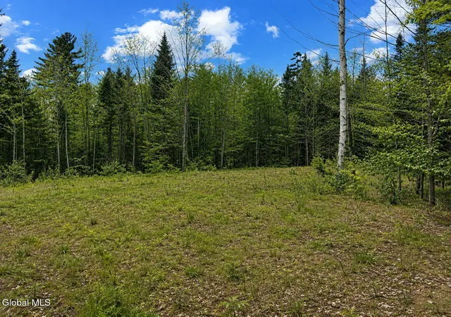 Land for sale at L89 Highview Ln #Lot 5, Johnsburg, NY 12886 | MLS# 202513040