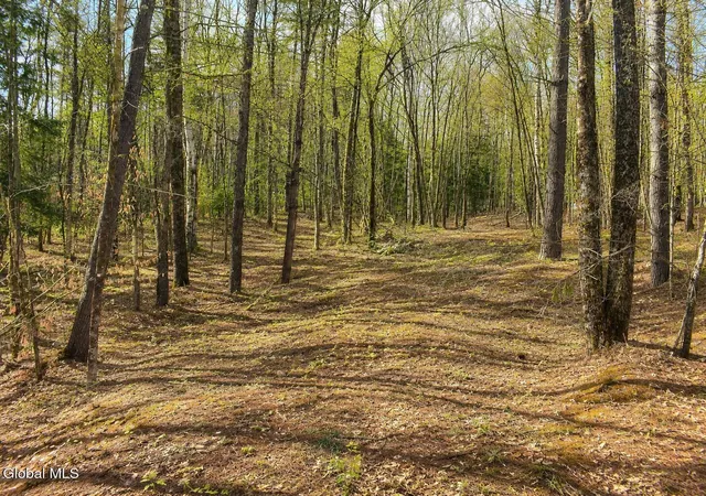 Photo 1 of Land for sale at L93 Highview Ln #9, Johnsburg, NY 12886 | MLS# 202513043 | Listing updated on 2026-08-25