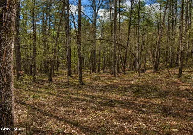 Photo 2 of Land for sale at L93 Highview Ln #9, Johnsburg, NY 12886 | MLS# 202513043 | Listing updated on 2026-08-25