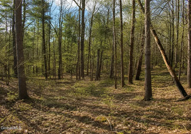 Photo 3 of Land for sale at L93 Highview Ln #9, Johnsburg, NY 12886 | MLS# 202513043 | Listing updated on 2026-08-25