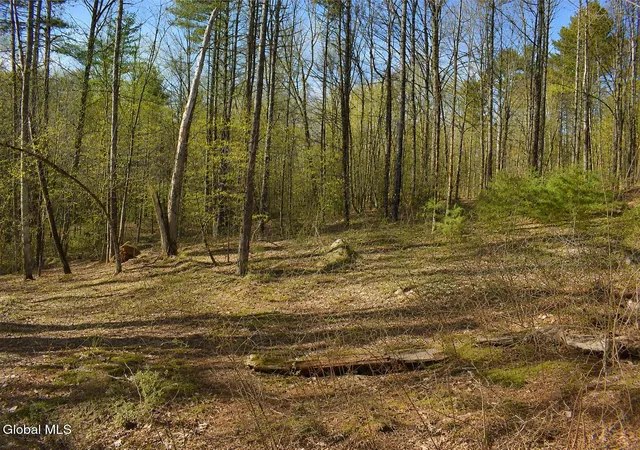Photo 3 of Land for sale at L93 Highview Ln #9, Johnsburg, NY 12886 | MLS# 202513043 | Listing updated on 2026-08-25